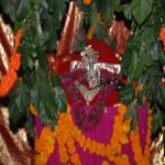 Vraj-Yatra-2014- (2402)